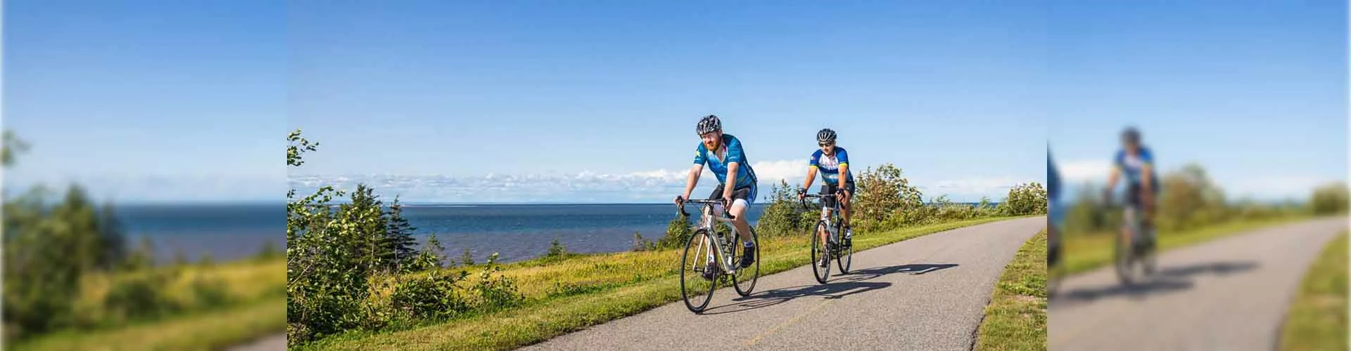 Bicicletas Ventas 9 Bicicletas Ventas -Bicicletas Ventas 9